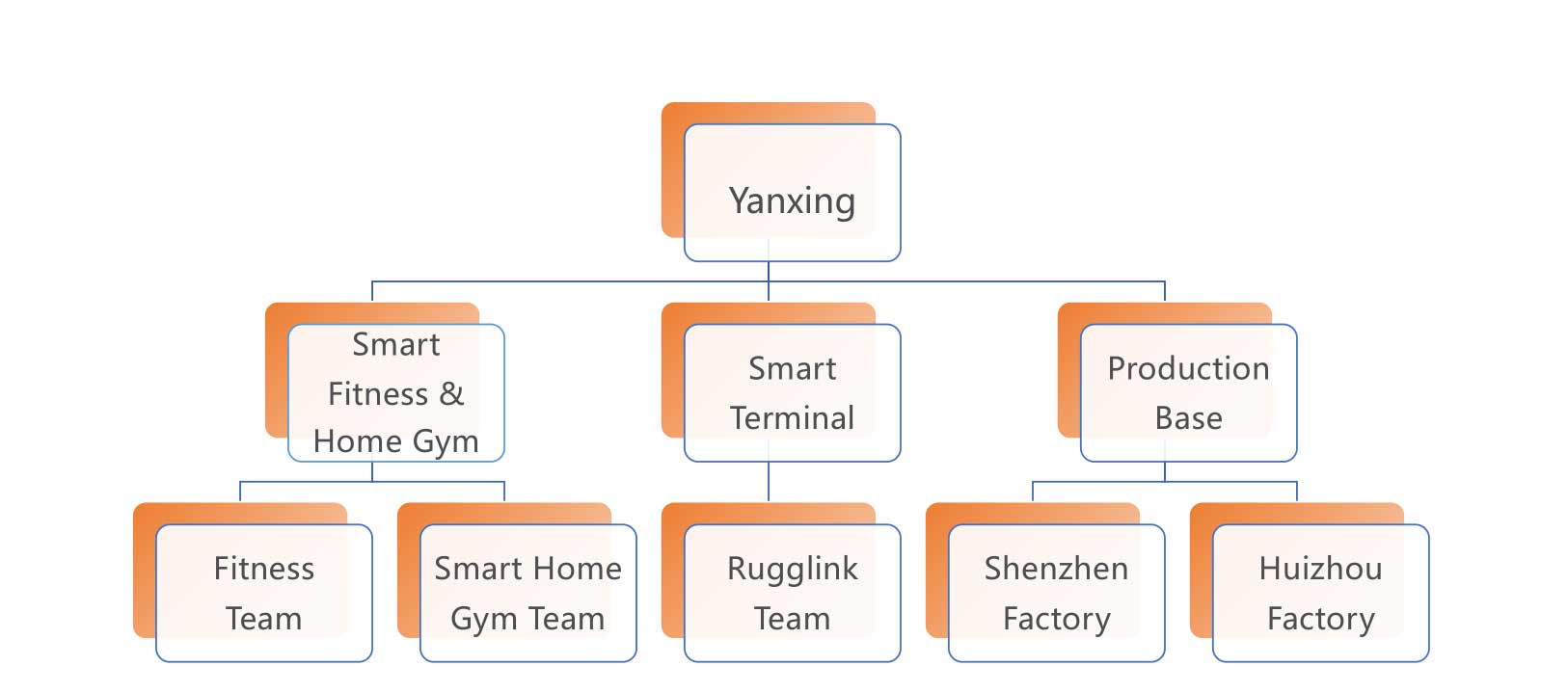 Company Structure